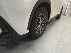 2025 Lexus NX250 Base 2.5L Petrol Automatic Wagon