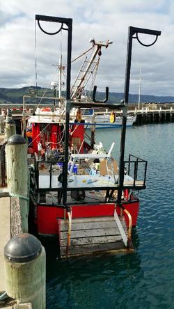 1978 COMMERCIAL FISHING