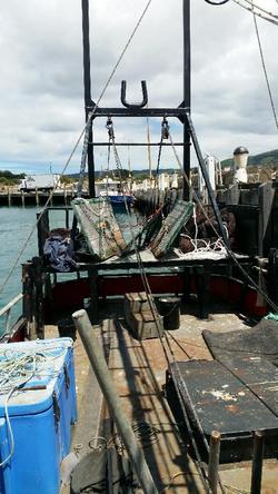 1978 COMMERCIAL FISHING