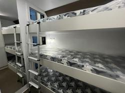 2024 Lotus Caravans Transformer 24'3