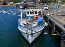 1973 COMMERCIAL FISHING