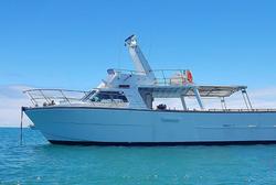 1981 COMMERCIAL CHARTER