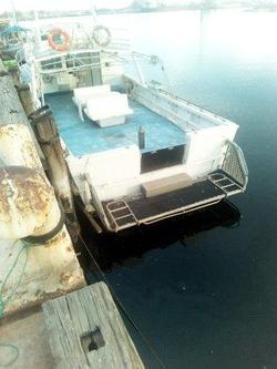 1981 COMMERCIAL CHARTER