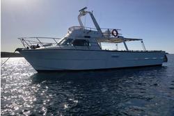 1981 COMMERCIAL CHARTER