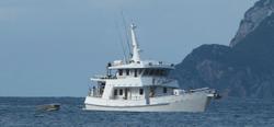 1999 COMMERCIAL Charter
