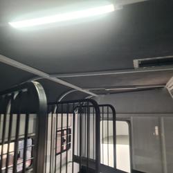 2024 McNeill 3 Horse Enclosed Gooseneck White
