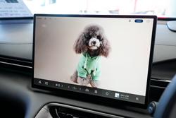 2025 Geely Starray EM-i Inspire