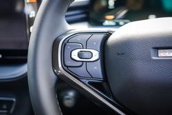 2025 GWM
H6