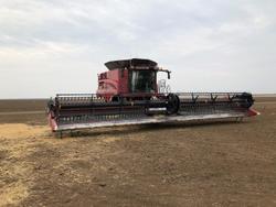 0 CASE IH 3162