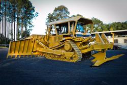 2026 DIXIE SCRUB CANOPY