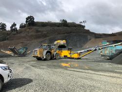 0 Anaconda FTR150 Yellow