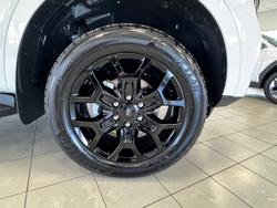 2025 Ford
                Everest Sport