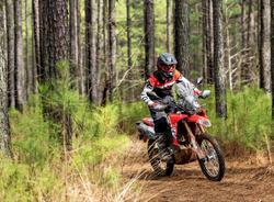 2025 Honda CRF300 Rally CRF Red