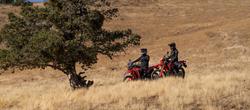 2025 Honda CRF300 Rally CRF Red