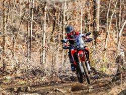 2025 Honda CRF300 Rally CRF Red