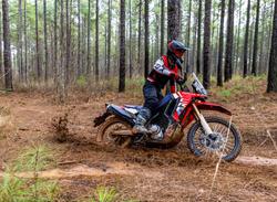 2025 Honda CRF300 Rally CRF Red