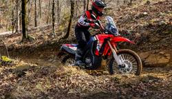 2025 Honda CRF300 Rally CRF Red