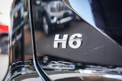 2025 GWM
H6