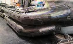 2004 Zodiac Milpro FC-470