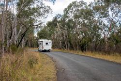2025 Avida Birdsville