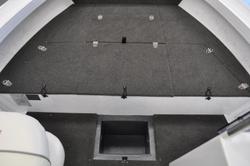 2025 QUINTREX 440 Renegade CC