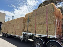 2026 Stonestar Drop Deck