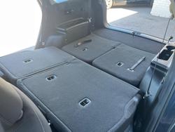 2023 Kia
                Sorento Sport