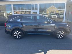 2023 Kia
                Sorento Sport
