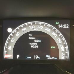 2020 Toyota RAV4 Cruiser MXAA52R Silver Sky