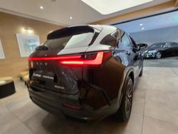 2024 Lexus NX350H Luxury AWD