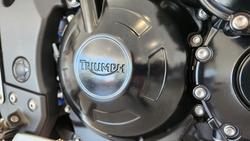 2013 Triumph Tiger Sport Tiger White