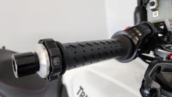 2013 Triumph Tiger Sport Tiger White