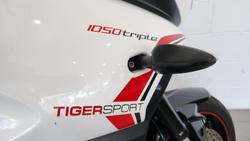2013 Triumph Tiger Sport Tiger White