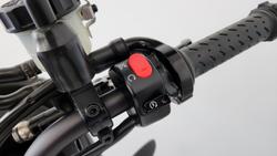 2013 Triumph Tiger Sport Tiger White