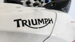 2013 Triumph Tiger Sport Tiger White