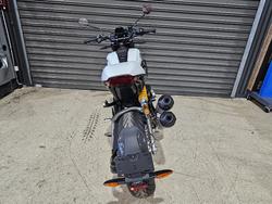 2023 Indian FTR SPORT WHITE LIGHTNING