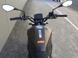 2022 Benelli Leoncino 800