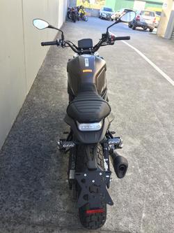 2022 Benelli Leoncino 800