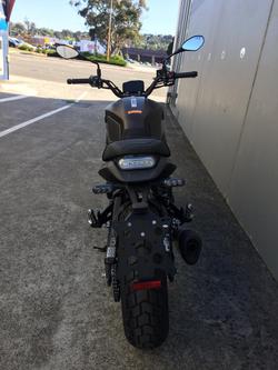 2022 Benelli Leoncino 800