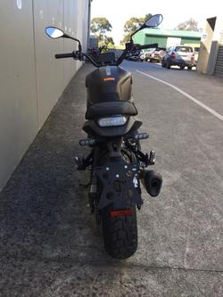 2022 Benelli
                Leoncino 800 