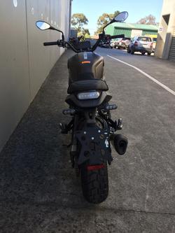 2022 Benelli
                Leoncino 800 