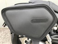 2022 Benelli Leoncino 800