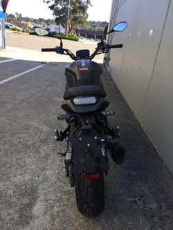 2022 Benelli
                Leoncino 800 