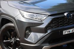 2020 Toyota RAV4 Cruiser