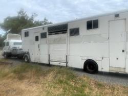 2009 Isuzu Frr 600 WHITE