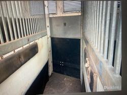 2009 Isuzu Frr 600 WHITE