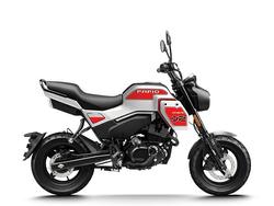 CFMOTO XO Papio Trail