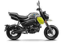 CFMOTO XO Papio Trail