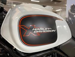 2024 Harley-Davidson X 500 X White