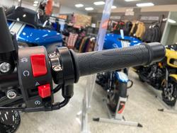 2024 Harley-Davidson X 500 X White